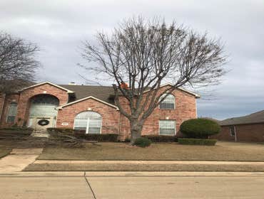 Photos by K-perez Tree Services #1