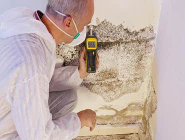 Photos by Ampm Exterminators #1