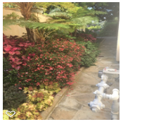 Photos by Foothill Nursery & Landscape Inc #1