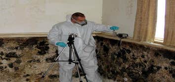 Bay Area Mold Services Project