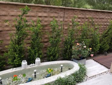 123 bridle path