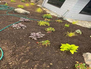 Photos by Maci Landscaping Services LLC #1