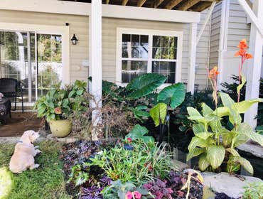 Photos by Landscape Therapy LLC #1