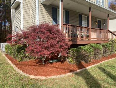 Photos by Landscape Science Lawn Care Company