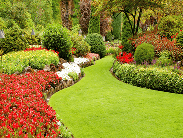 Photos by Gm Pacific Hardscapes LLC #1