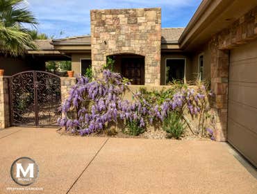 Unique Curb Appeal Gardening