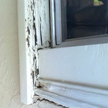 Dry Rot Repair We took the window out and replaced the window sill and all the casing and stucco molding. We used Radiata pine for all the trim. This w