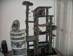 furniture assembly