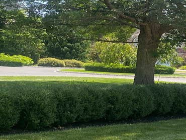 Photos by River Mountain Landscape & Property Services, Inc #1