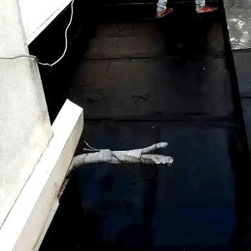 Dw Basement Waterproofing
