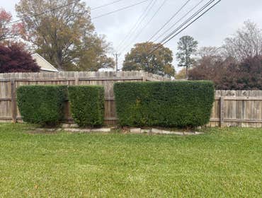 Photos by Beauty Meister Landscaping LLC #2