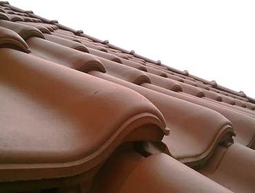 Photos by USA Roofing & Repair/USA Tree Service #1
