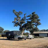 Photos by A Beautiful Tree Service #1