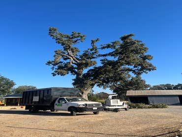 Photos by A Beautiful Tree Service #1