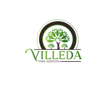 Photos by Villeda Tree Services #1