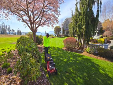 Photos by Mv Top Landscaper LLC #1