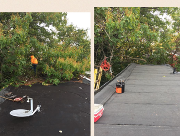 Philadelphia Quality Roofing