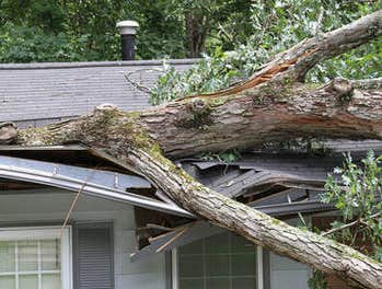 Photos by Chappelle Roofing Services #1 Chappelle Roofing LLC is a locally-owned roofing company in North Port, FL. Call us if you need a FREE estimate