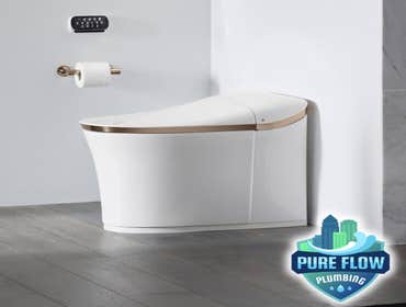 Toilet repair in Clover, SC