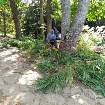 Master Tree Service LLC
