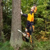 the Tree Company Mn