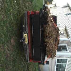 Stump removal