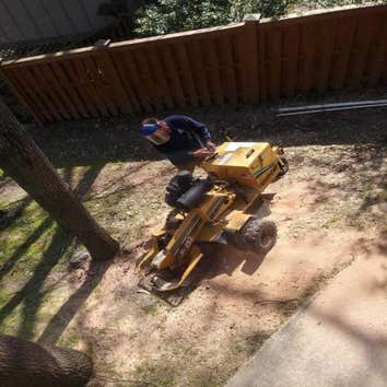Photos by Valdez Tree Service LLC #1