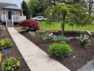 Photos by Apex Landscaping & Construction #1
