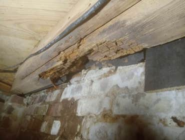 Photos by J's Repair Services Iic #1 Flooring wood work replacement of plywood
Tile and landscaping