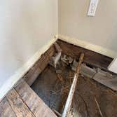 Photos by Port Richey Foundation Repair #1