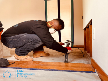 Photos by Elite Restoration Group #1 water damage restoration