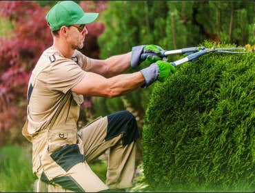 Photos by Brothers Landscaping LLC #1