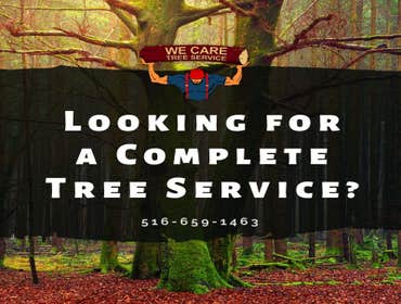 We Care Tree Services Looking for complete tree service. From tree removal to land clearing – We Care Tree Service can handle all of your tree service 