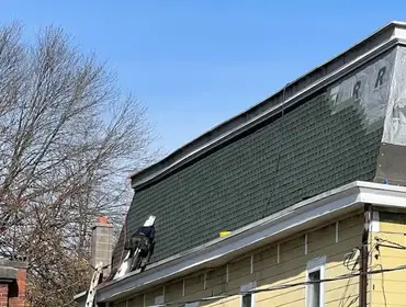 Photos by Noble Roofing #1