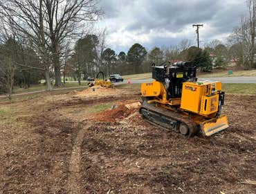 Photos by Stump Pros Forestry and Land #1