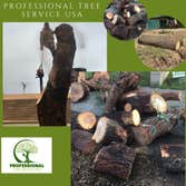 Professional Tree Service Usa