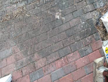 Seal-Away pressure washing sidewalk, driveway, & fence Before and after pictures pressure washing sidewalk, fence, & driveway. Call Seal-Away today to