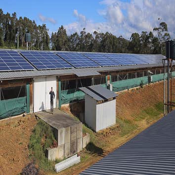 Photos from Megawatt Solar Energy Solutions