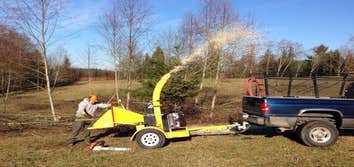 Brush clearing