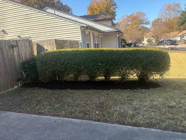 Photos by Beauty Meister Landscaping LLC #2