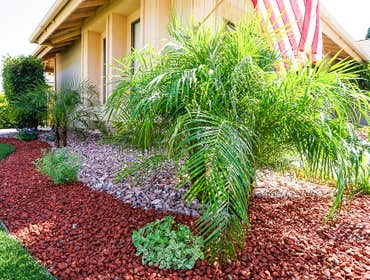 Front yard turf rock planters - Oxnard