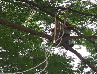 Photos by K&r Tree Service LLC #1