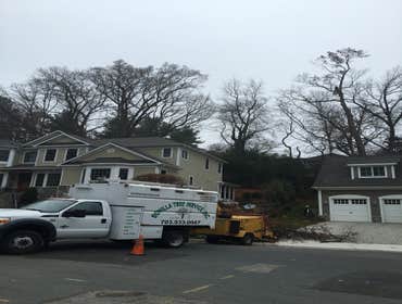 Photo(s) from Bonilla Tree Service Inc