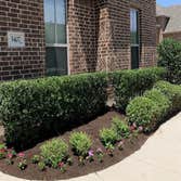 Richardson Tree Service Company