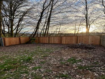 Photos by Platinum Landscaping LLC #1