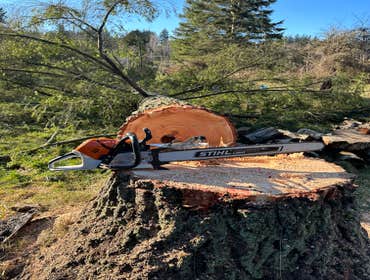 Photos by Bersch Tree Service LLC #1