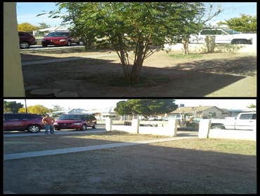 Landscaping