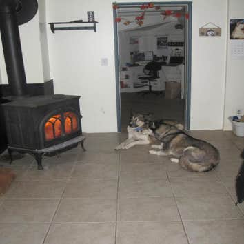 Our dogs testing out our work