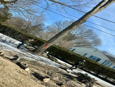 Photos by Dominguez Tree Service LLC #11