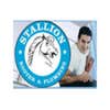 STALLION ROOTER & PLUMBING logo